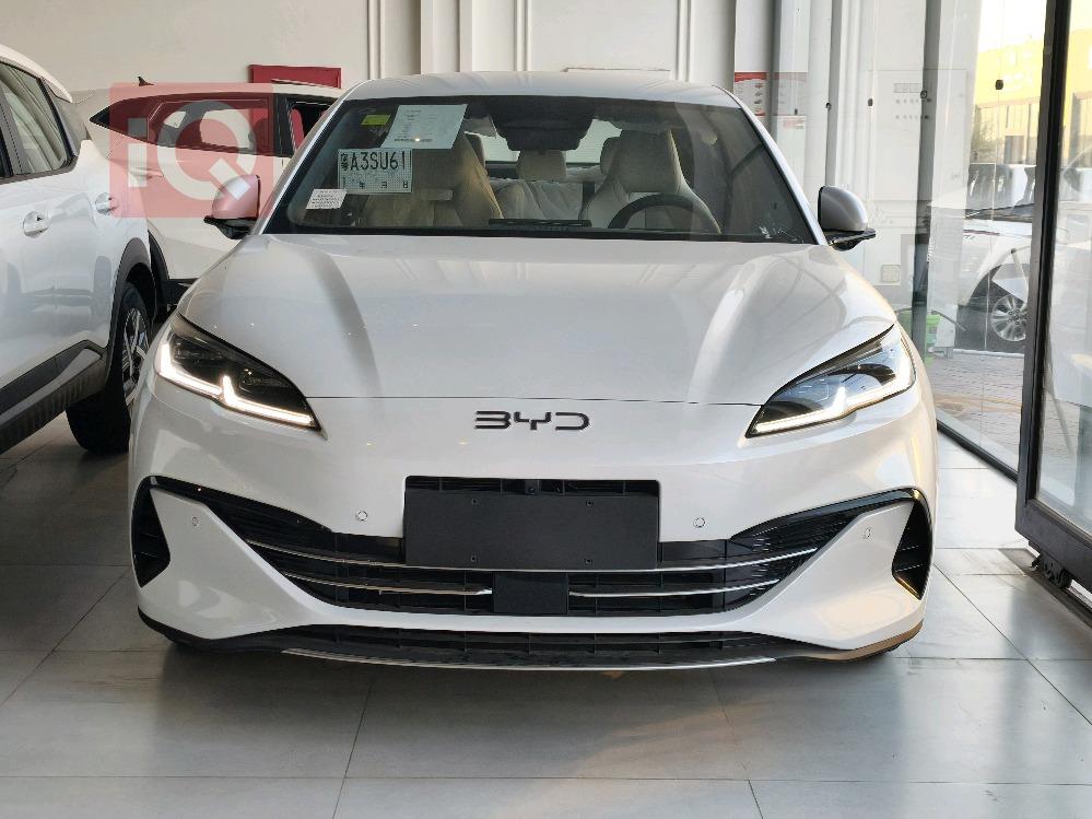 بي واي دي سيل 06 DM-i